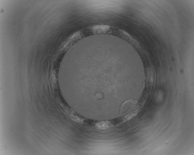 X0000072940761200607211101