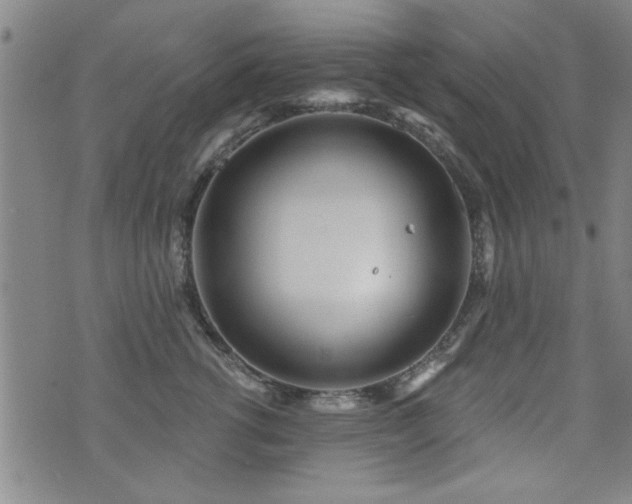 X0000072940762200607211101