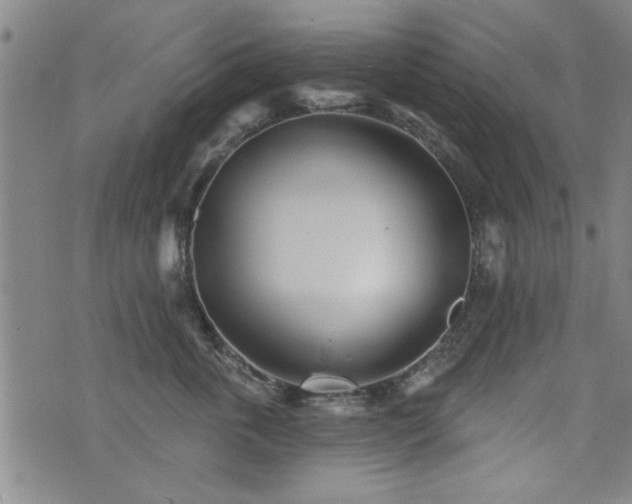 X0000072940763200607211101