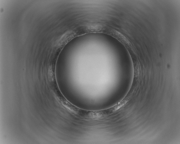 X0000072940764200607211101