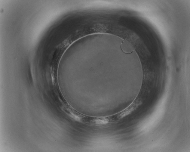 X0000072940765200607211101