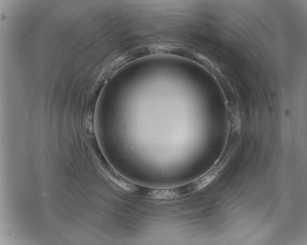 X0000072940766200607211101