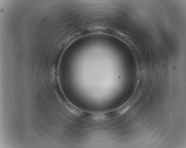 X0000072940767200607211101