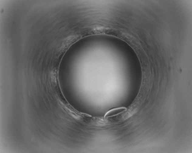 X0000072940768200607211101