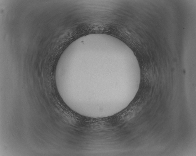 X0000072940769200607211101