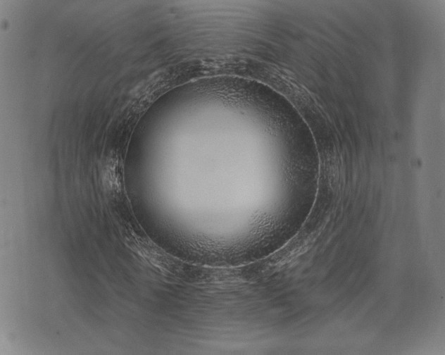 X0000072940770200607211101