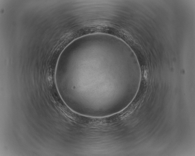 X0000072940771200607211101