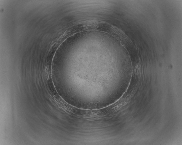 X0000072940772200607211101