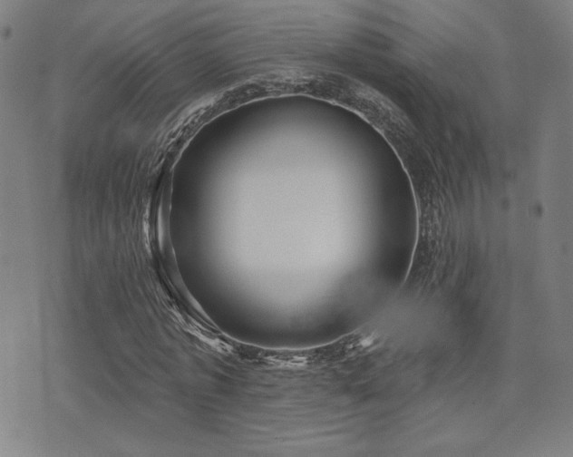 X0000072940773200607211101