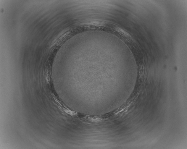 X0000072940774200607211101