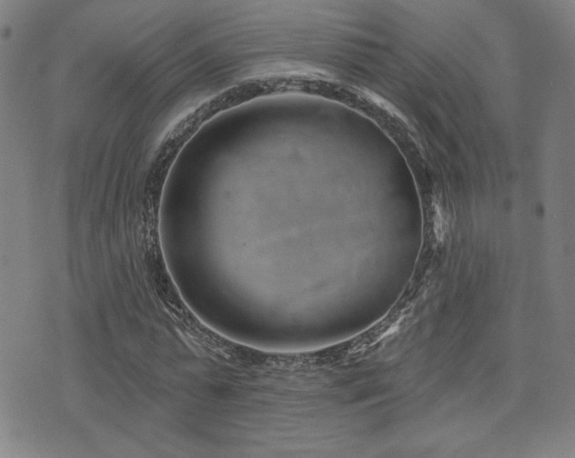 X0000072940775200607211101