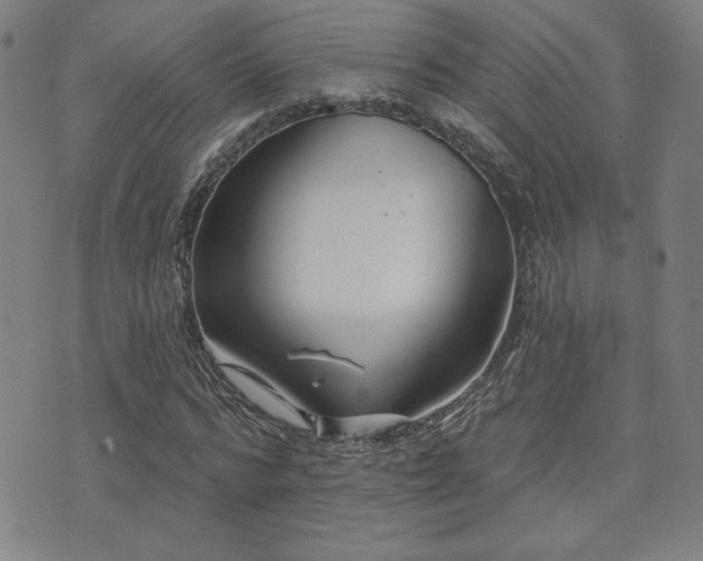 X0000072940776200607211101