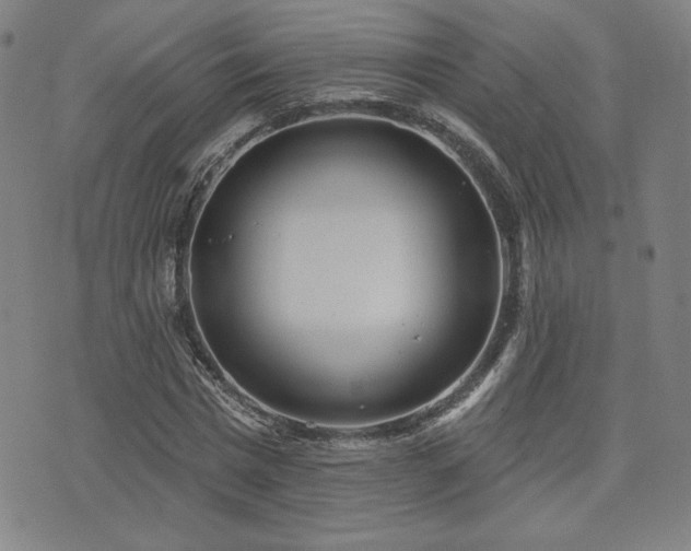 X0000072940777200607211101