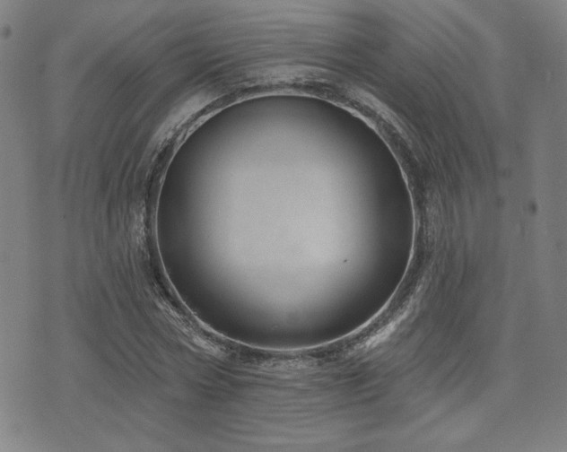 X0000072940778200607211101