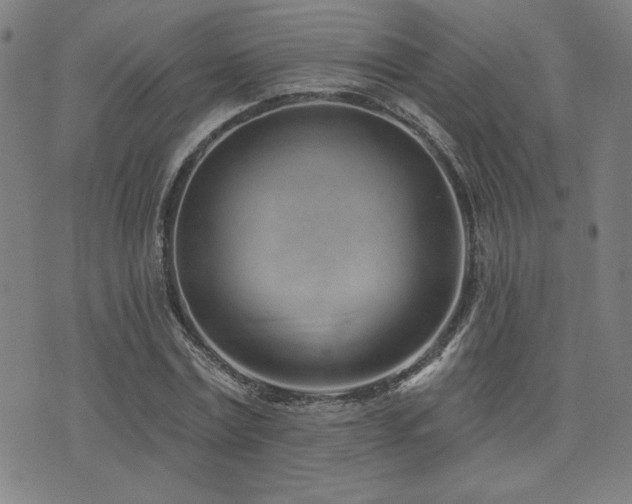 X0000072940779200607211100