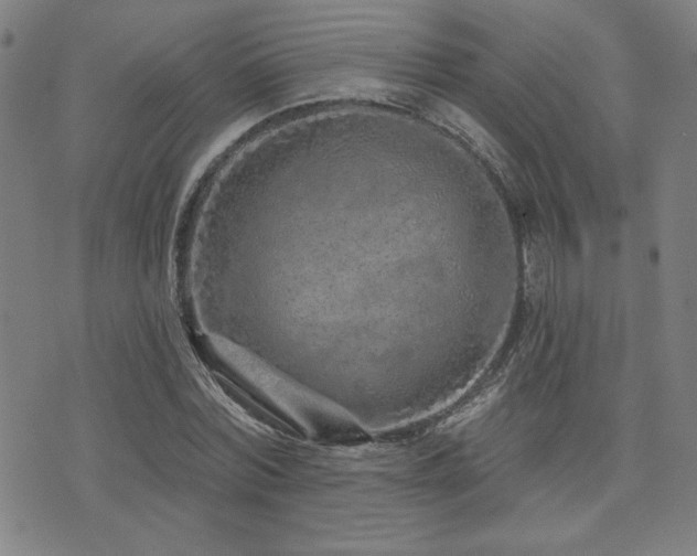 X0000072940780200607211100