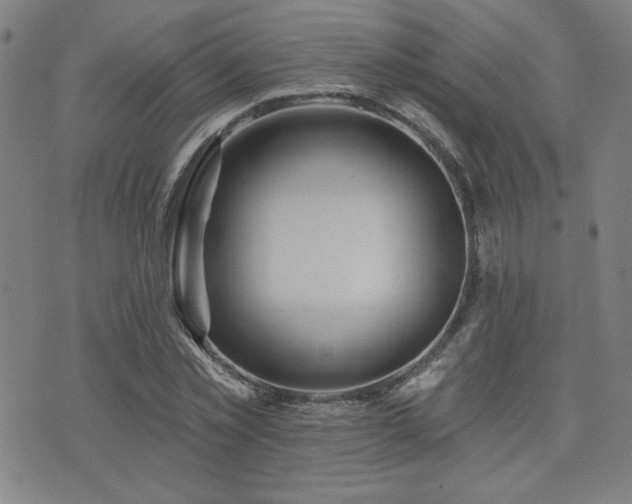 X0000072940781200607211100