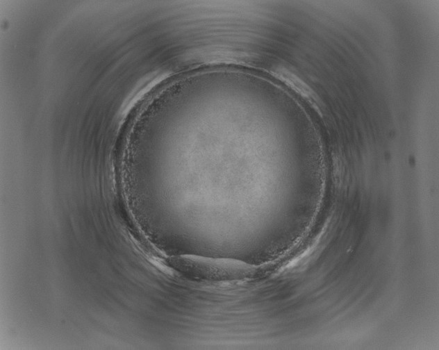 X0000072940782200607211100