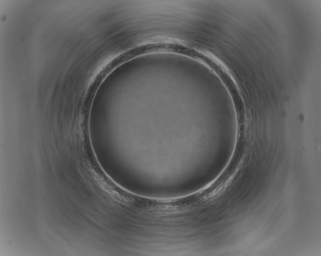 X0000072940783200607211100