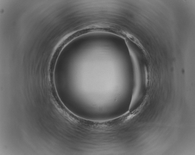 X0000072940784200607211100