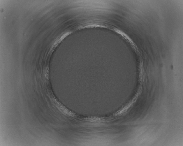 X0000072940785200607211100