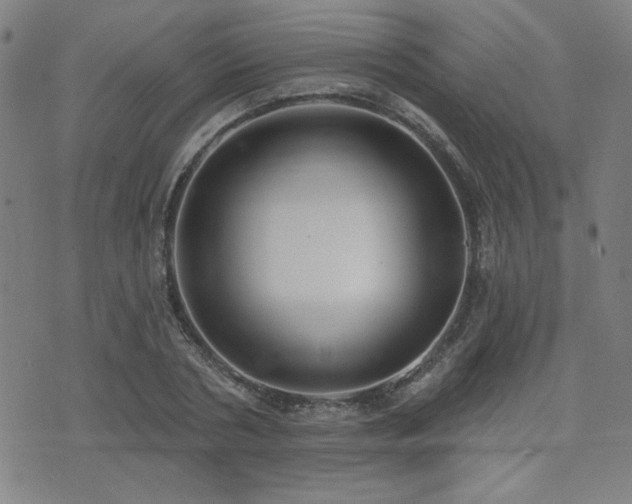 X0000072940786200607211100