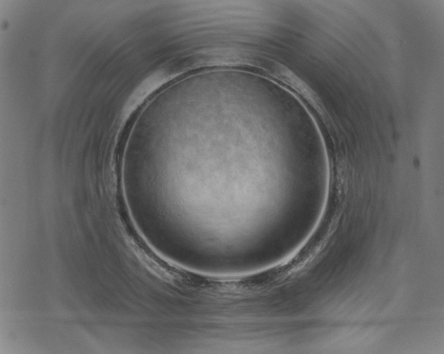 X0000072940787200607211100