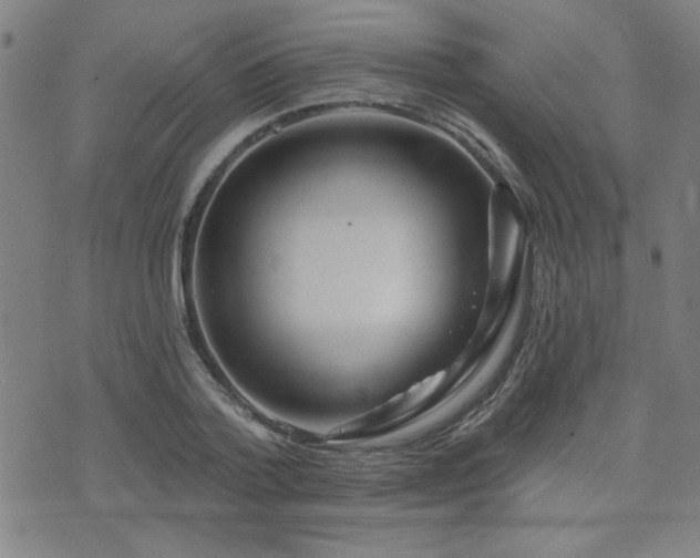 X0000072940788200607211100