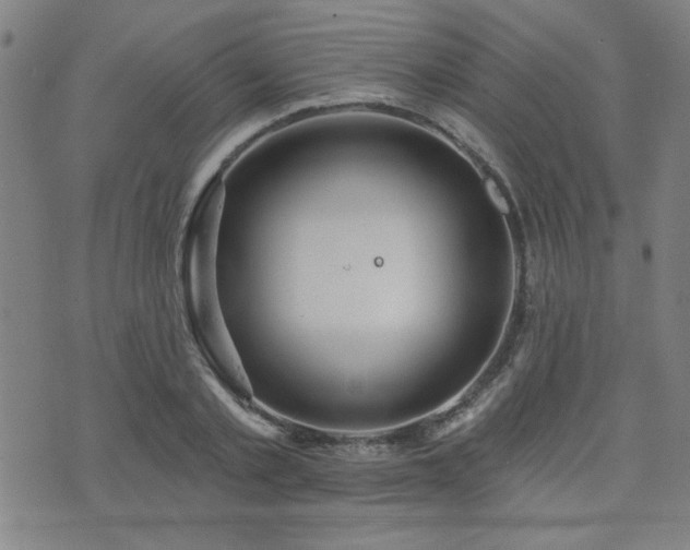 X0000072940789200607211100