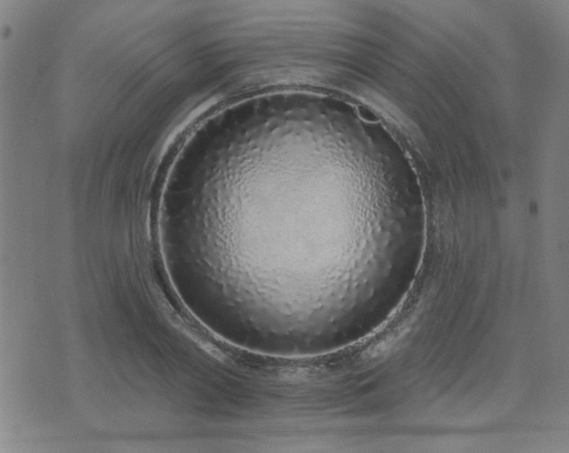 X0000072940790200607211100