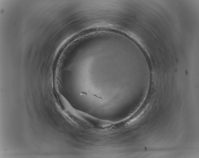 X0000072940791200607211100