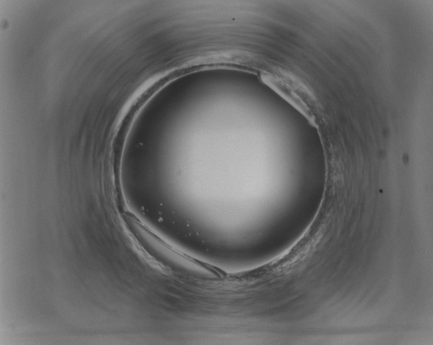 X0000072940792200607211100