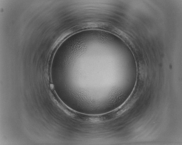 X0000072940794200607211100