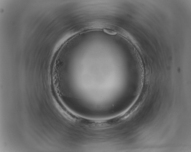 X0000072940795200607211100