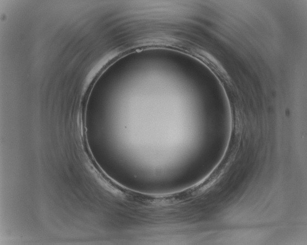 X0000072940796200607211100