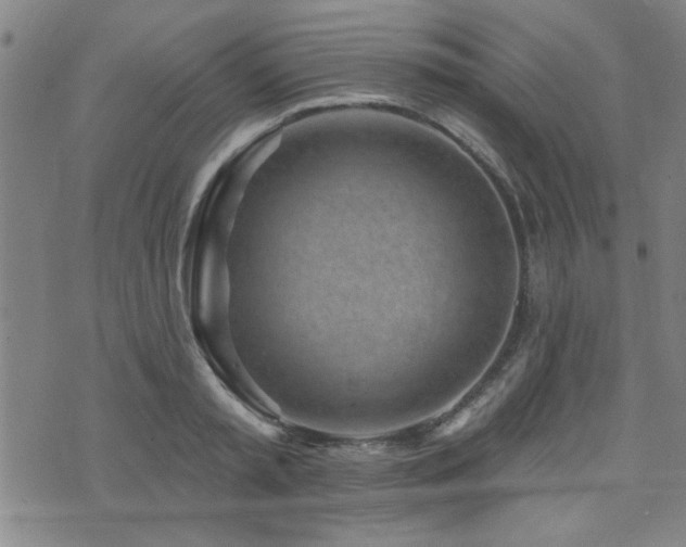 X0000072940797200607211100