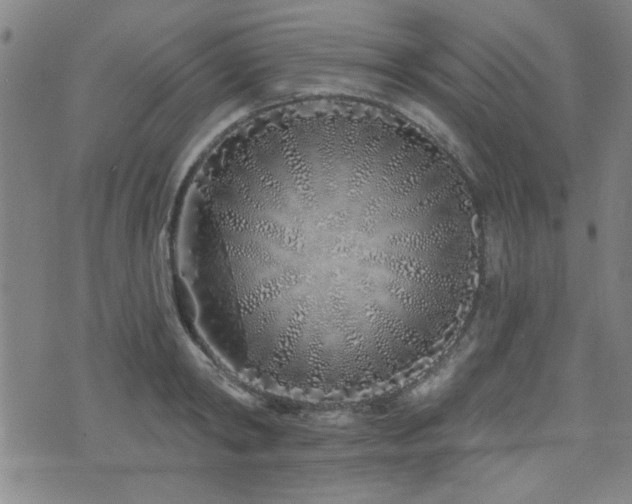 X0000072940798200607211100