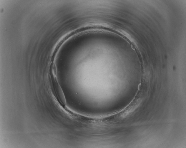 X0000072940799200607211100