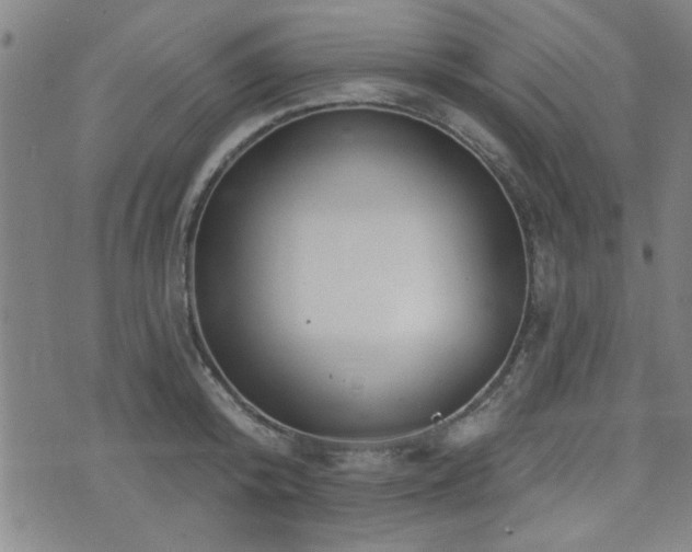 X0000072940800200607211100