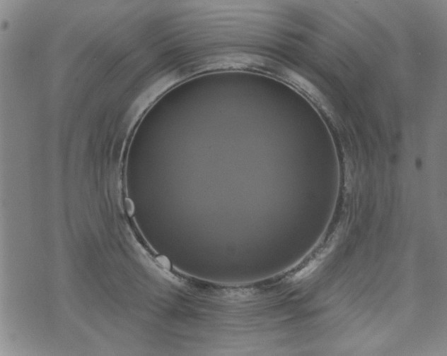 X0000072940802200607211100