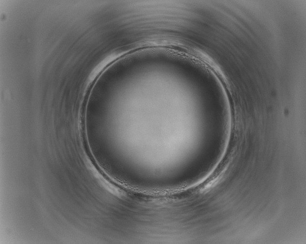 X0000072940803200607211100