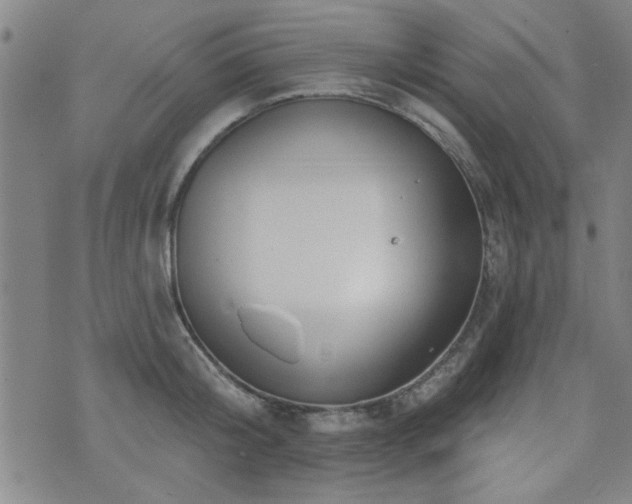 X0000072940804200607211100