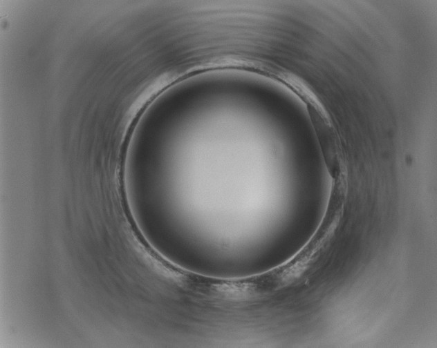 X0000072940805200607211100