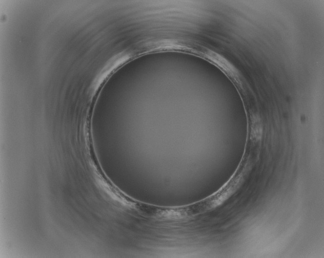 X0000072940806200607211100