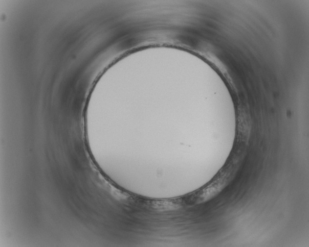 X0000072940807200607211100