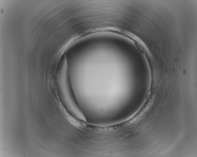 X0000072940809200607211100