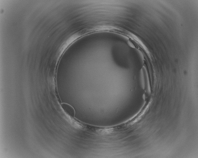 X0000072940810200607211100