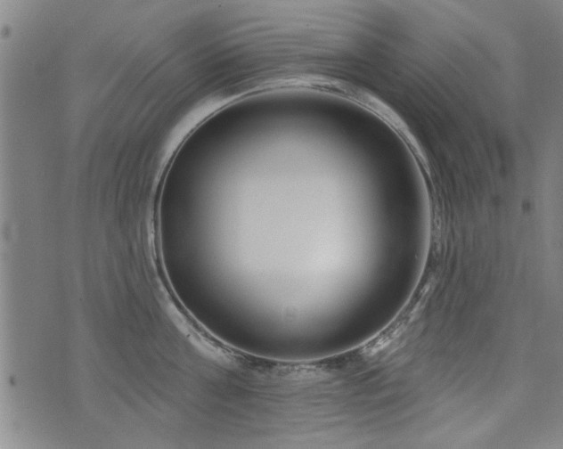 X0000072940811200607211100