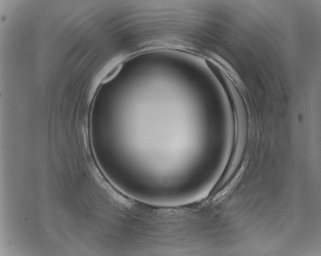 X0000072940812200607211100