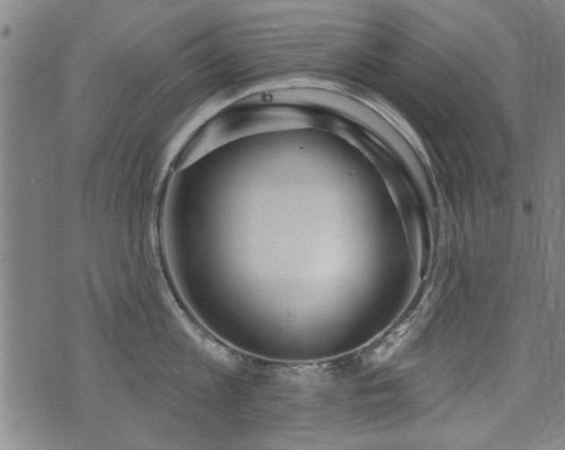 X0000072940813200607211100